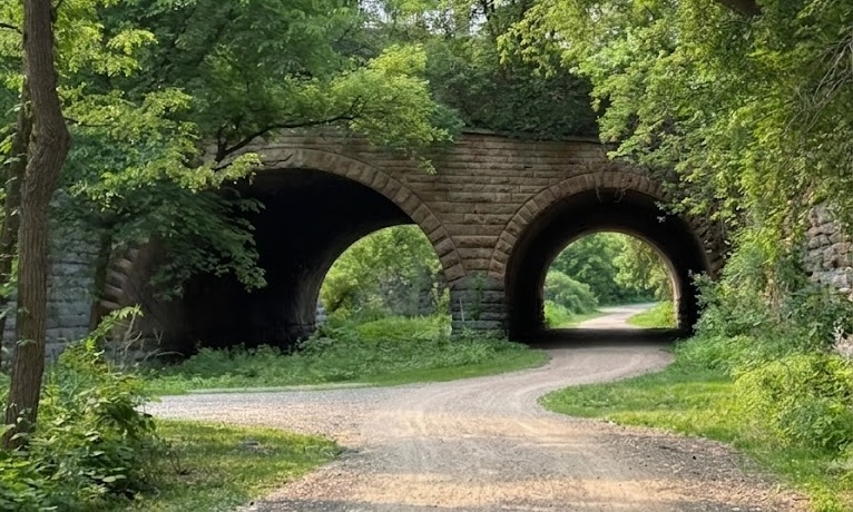 Swede Hollow