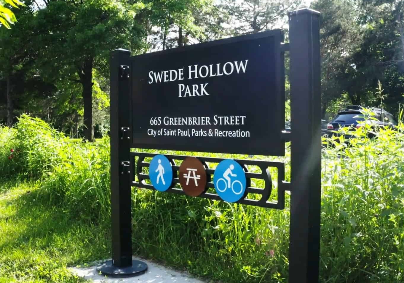 Swede Hollow